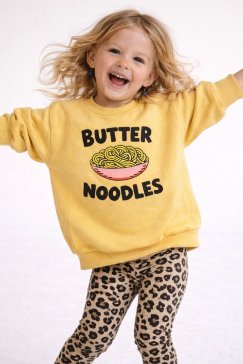 ButterNoodlesModel2